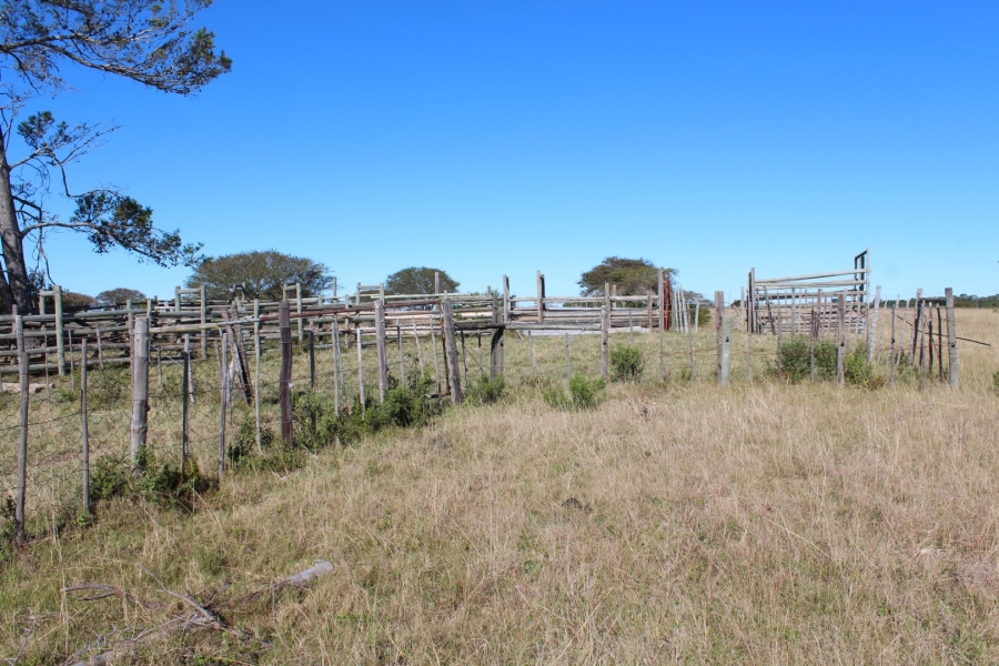 1 Bedroom Property for Sale in Bathurst Rural Eastern Cape
